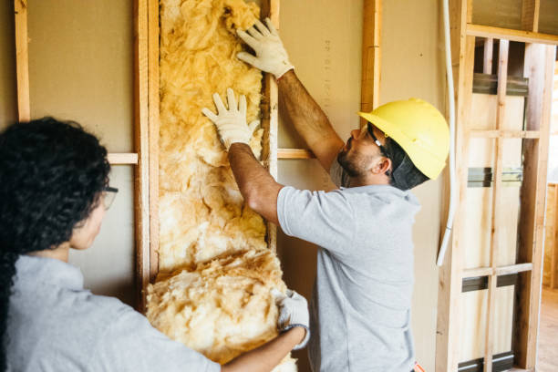 Best Eco-Friendly or Green Insulation Solutions  in , FL